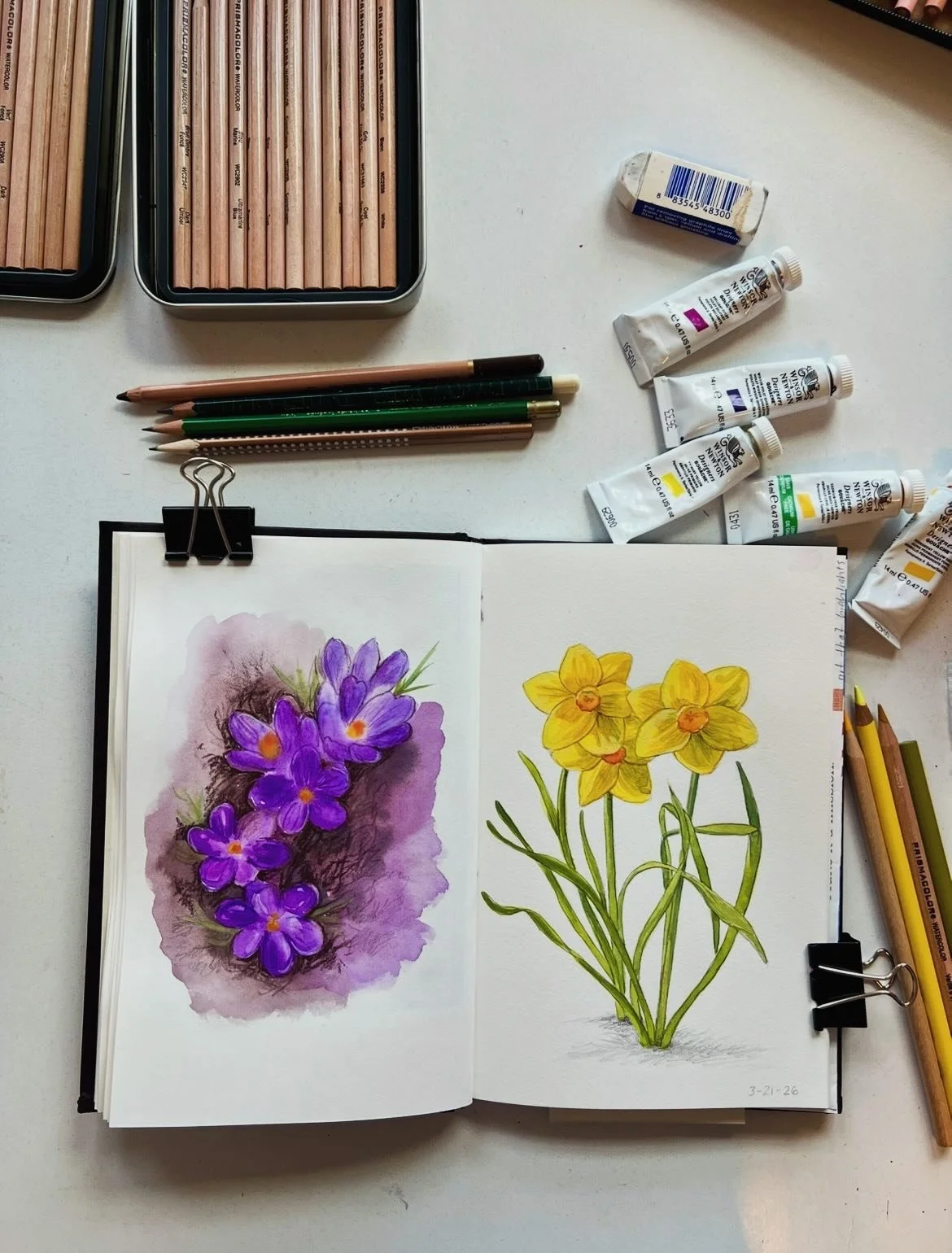 It might be snowing today, but I&rsquo;ve got spring on my mind! Our very first crocuses have bloomed so I know the winter can&rsquo;t last forever. 🌱 I had fun using a whole bunch of different mediums including: gouache, pencil, watercolor pencil, 