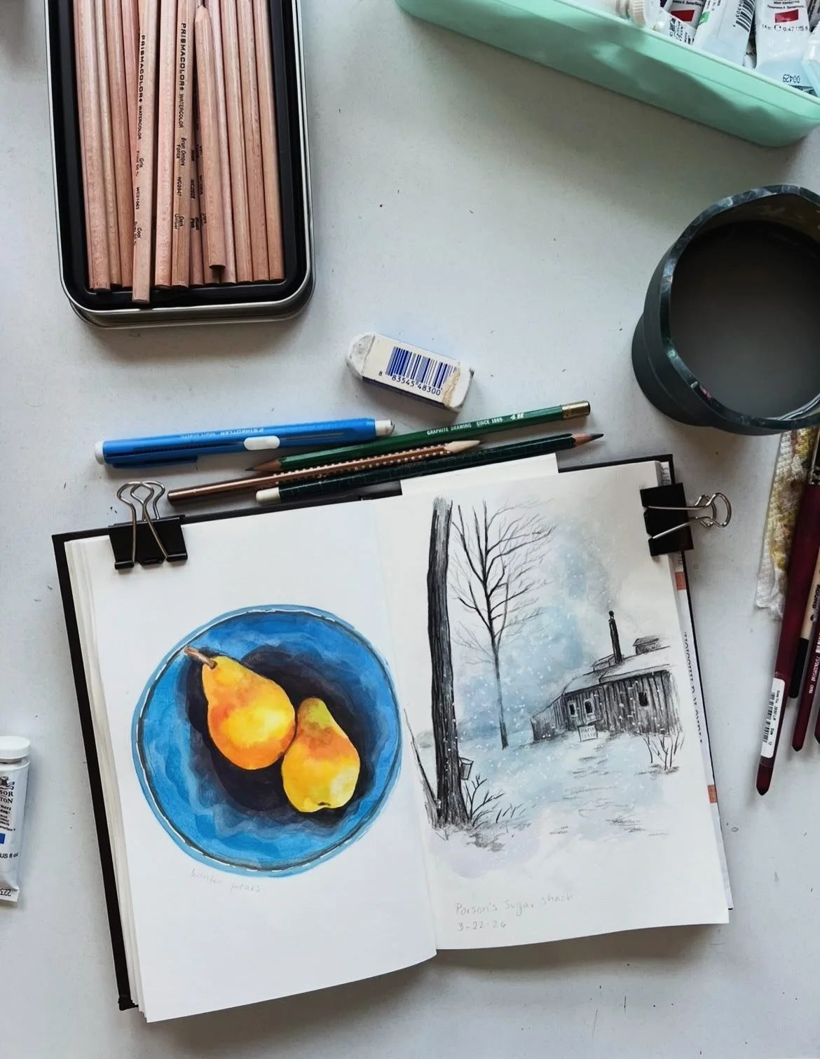 A little sketchbook juxtaposition between the imported summer colors inside and the monochromatic colors outside. #sketchbook #gouache #illustration #maplesunday
