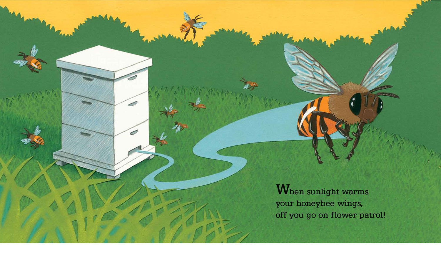 BeeDance_interior book design_Page_02.jpg
