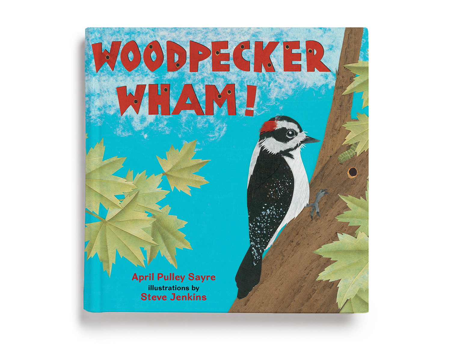 Woodpecker Wham picture book cover design