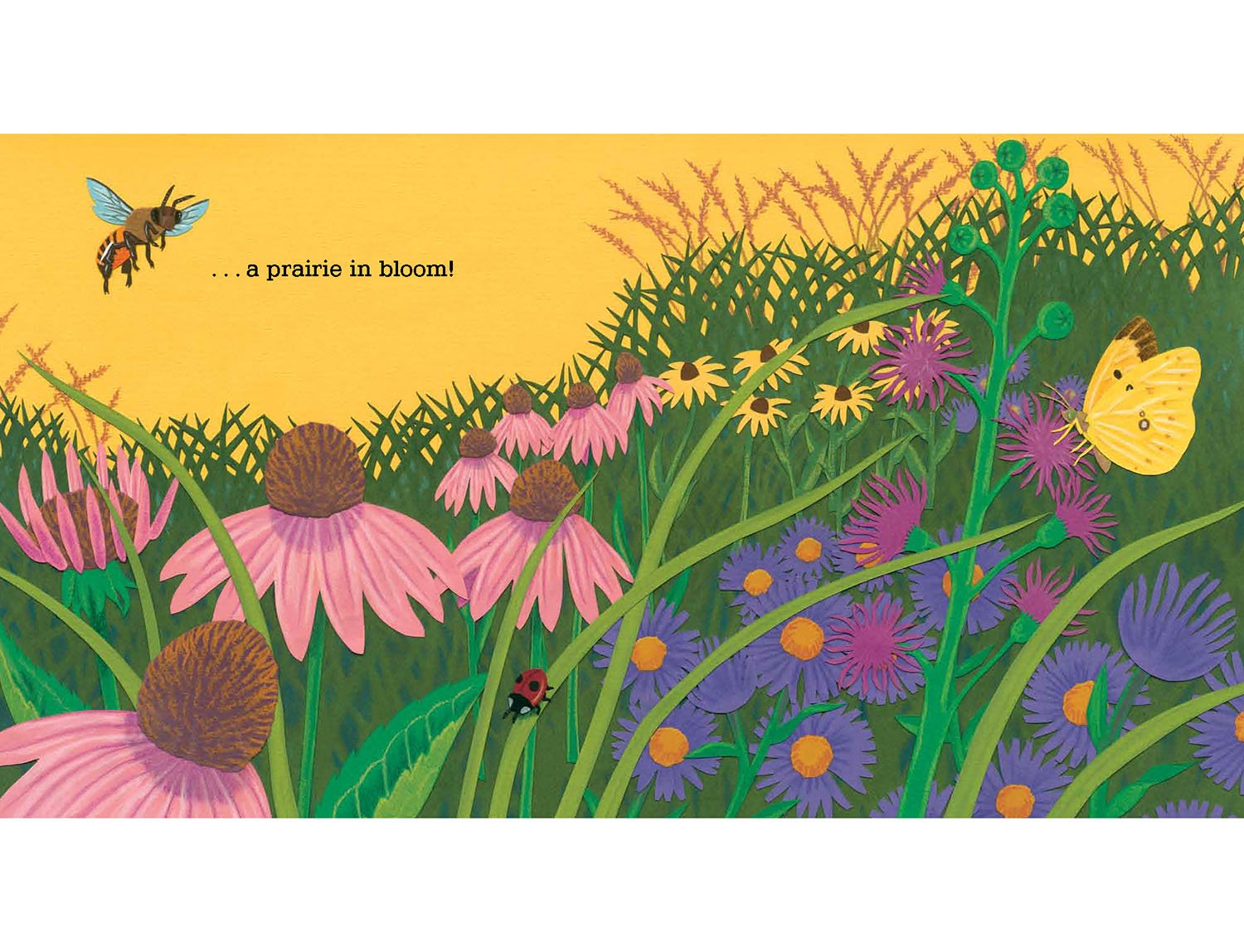 BeeDance_interior book design_Page_04.jpg
