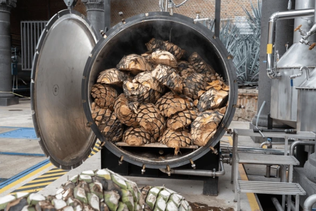 From Agave to Bottle: How Tequila Is Made Step by Step