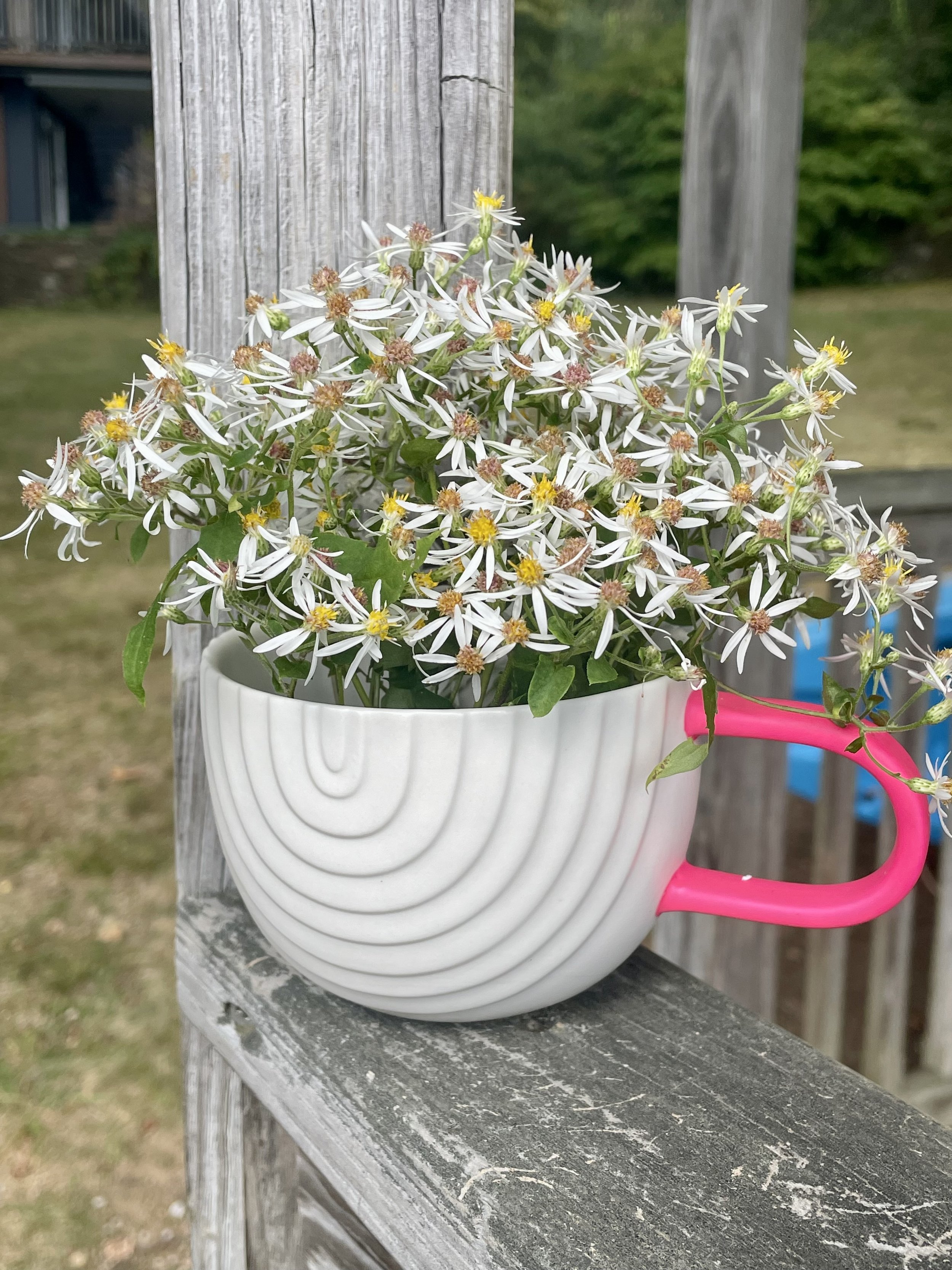 Mug w/Pink Handle Planter