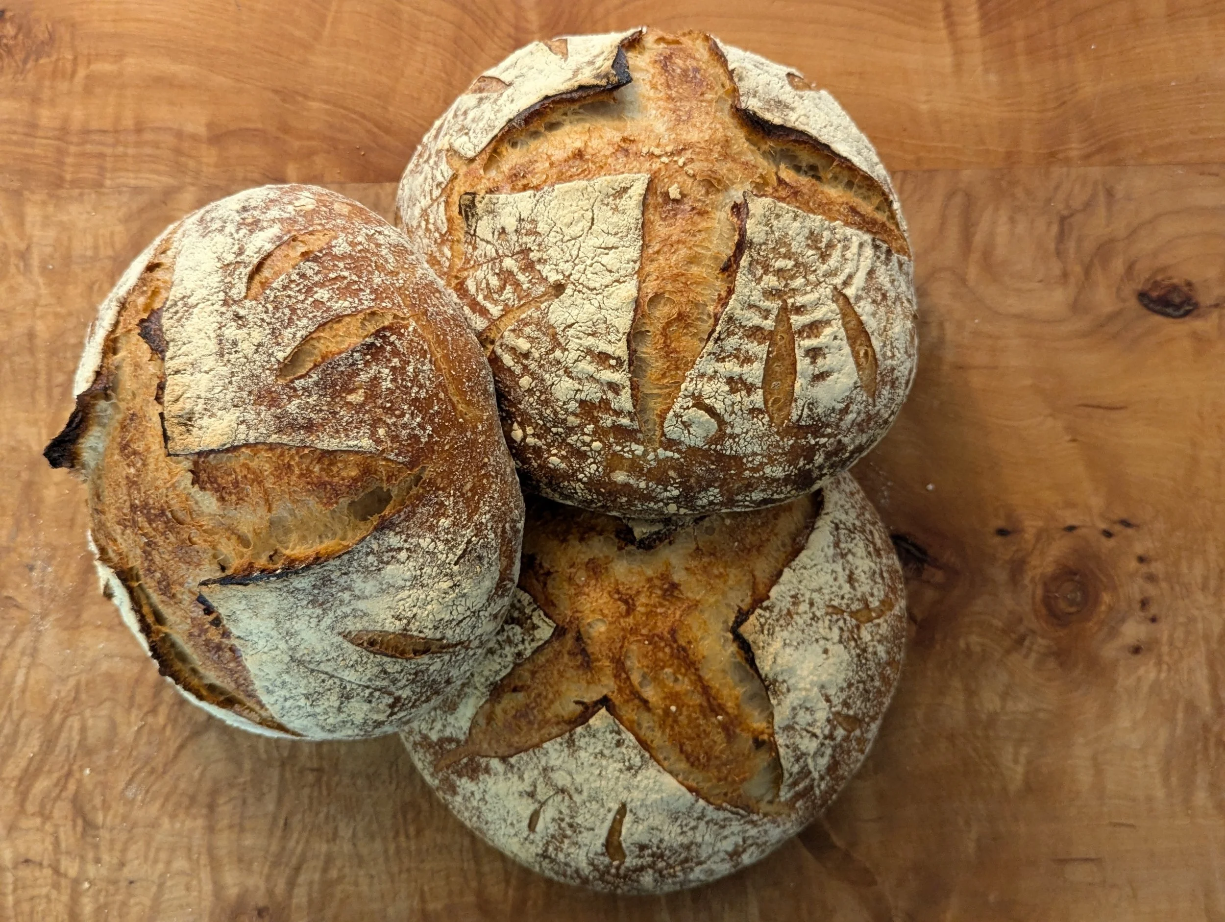 Four round sourdough bread loaves with scoring patterns on top, dusted with flour and placed on a wooden surface.
