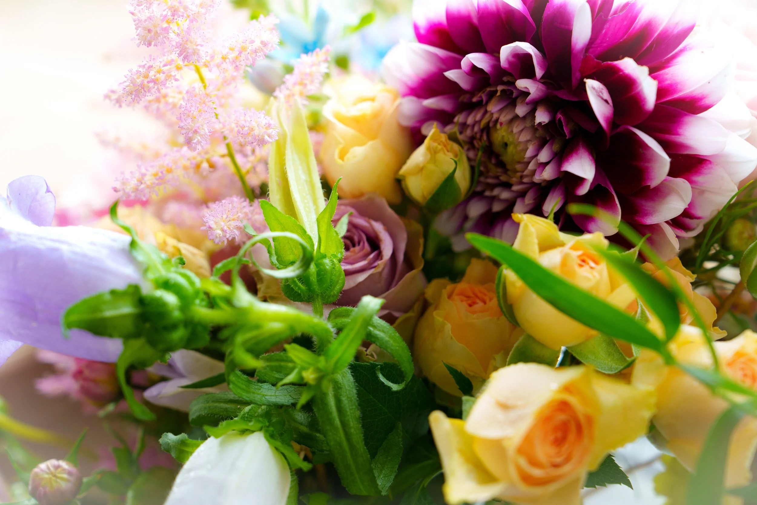 Ellesha Main Wedding-29.jpg