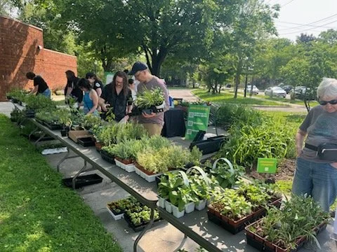 Lyndale Plant Sale
