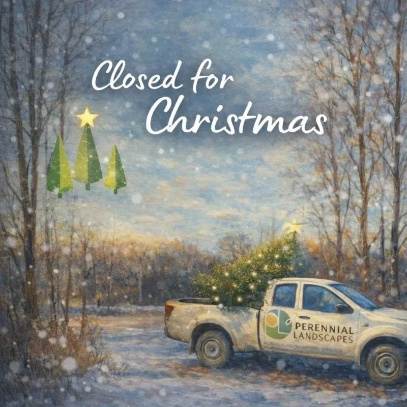 That’s a wrap for the year 🎄