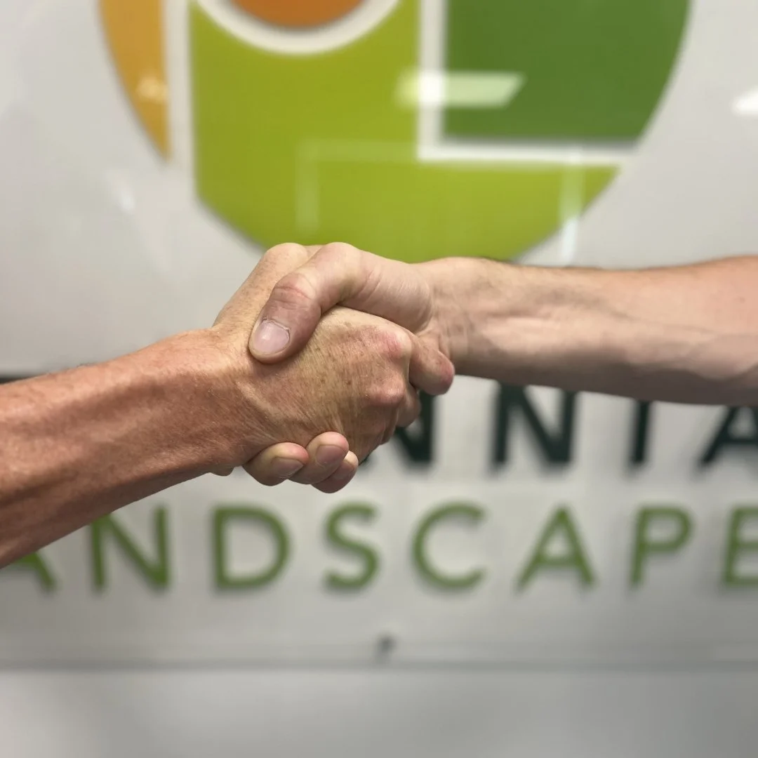 New Managing Director appointed 