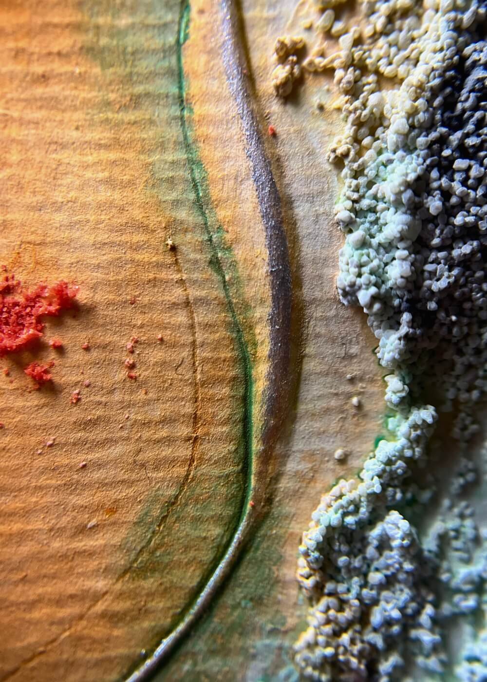 Macro detail of abstract textures with granular material and layered strokes in earthy orange and green from the painting Where I end and begin.