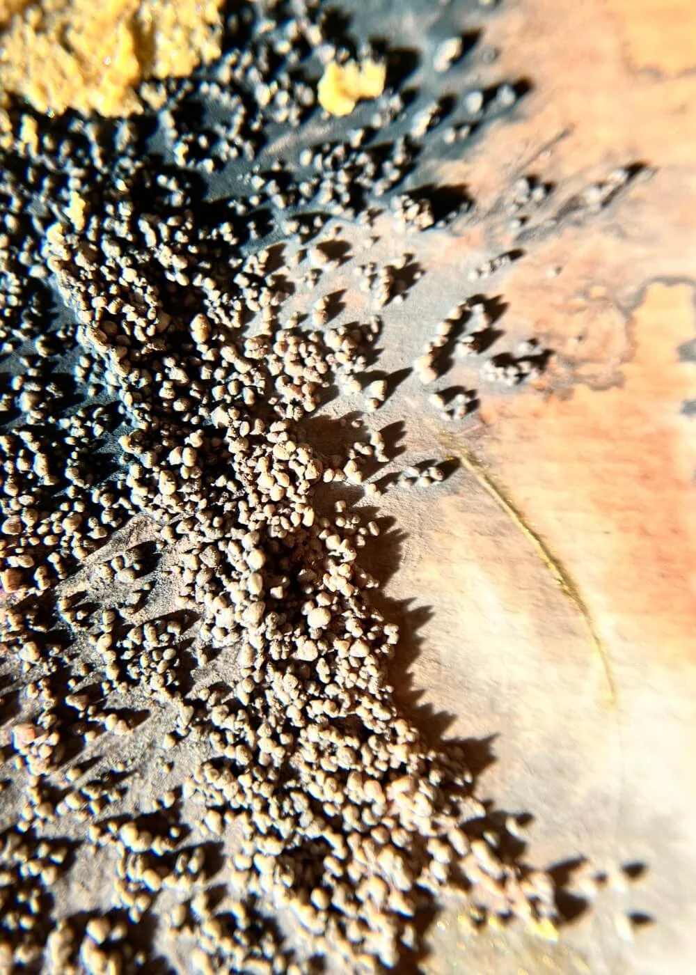 Detail of tactile textures and ash-like granules, evoking the beauty of reclamation and the warmth of self-choice.