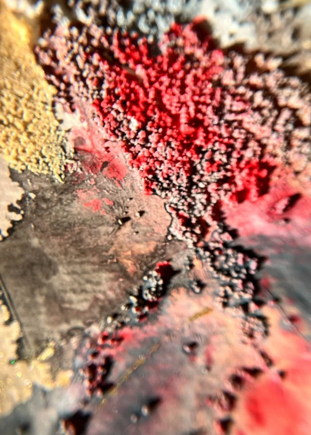 In close view, crimson pigment meets rough golden texture — the skin of embers glowing softly, neither extinguished nor raging, simply alive.