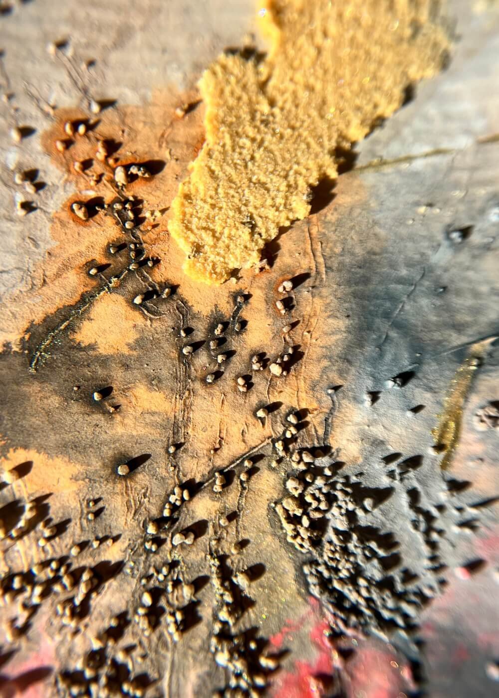 Macro view of golden dust and crimson pigments merging — a visual metaphor for inner awakening and grounded light.