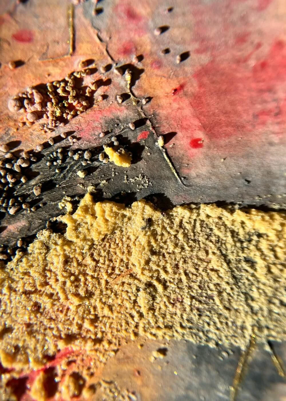 Tiny grains rise from the surface like cooled lava, holding traces of both destruction and renewal — beneath the ember skin, life hums again.