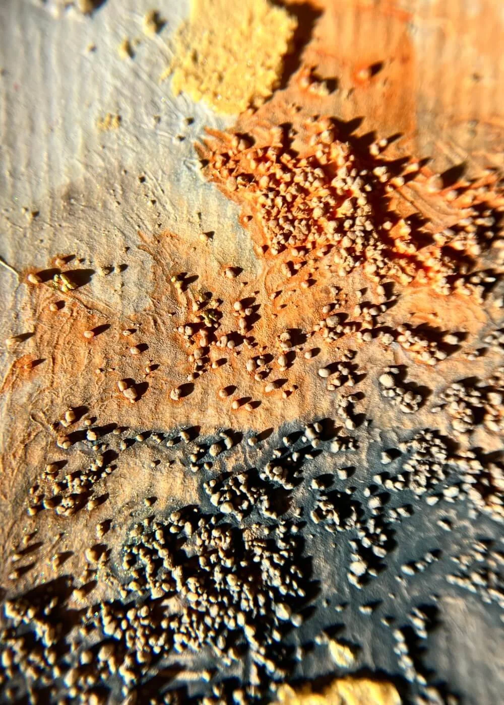 A macro detail of golden dust and charred textures, symbolizing renewal through surrender and the resilience of fire turned to earth.