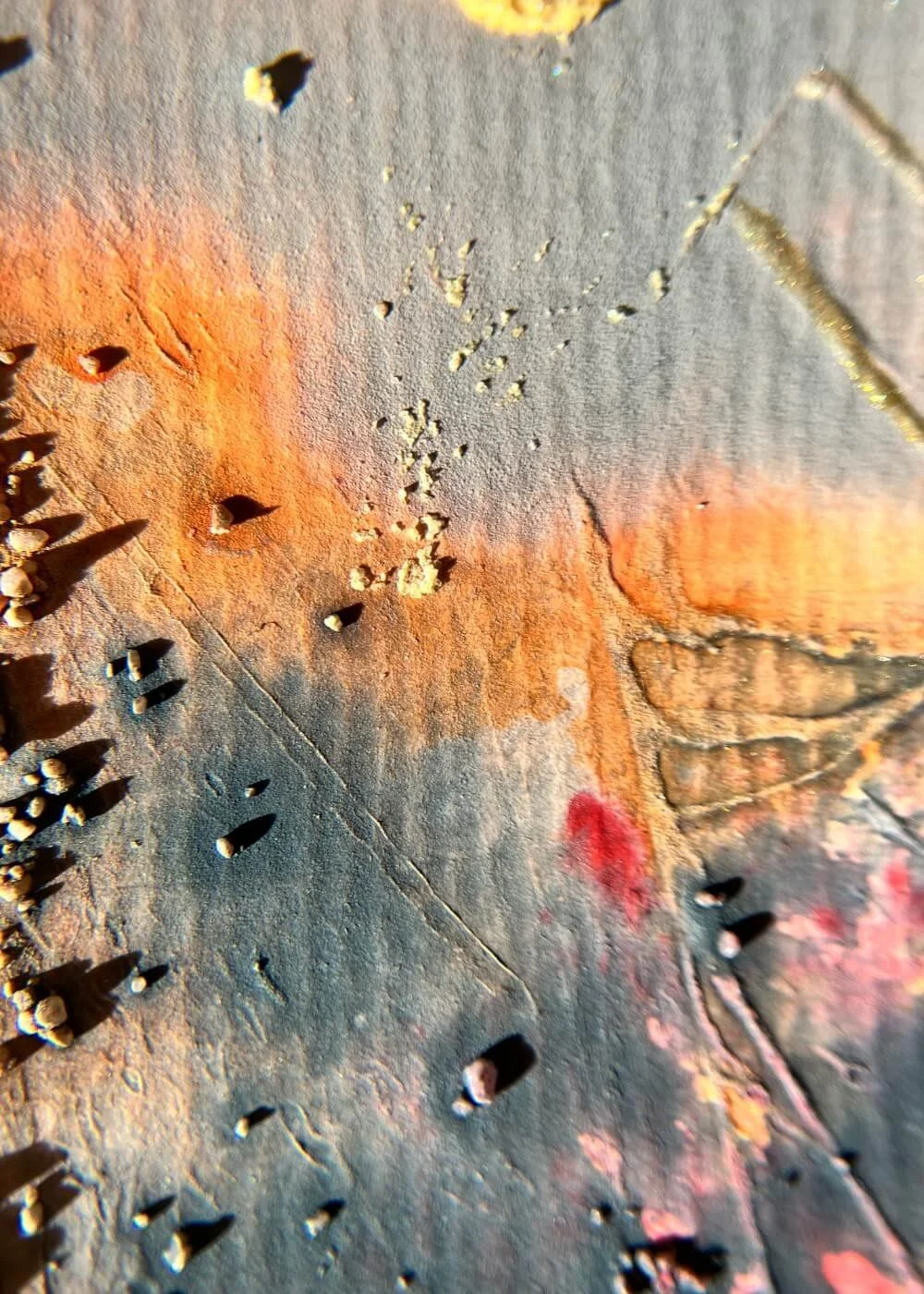 A close view reveals delicate ridges and dusted pigments — the memory of flame dissolving into light.