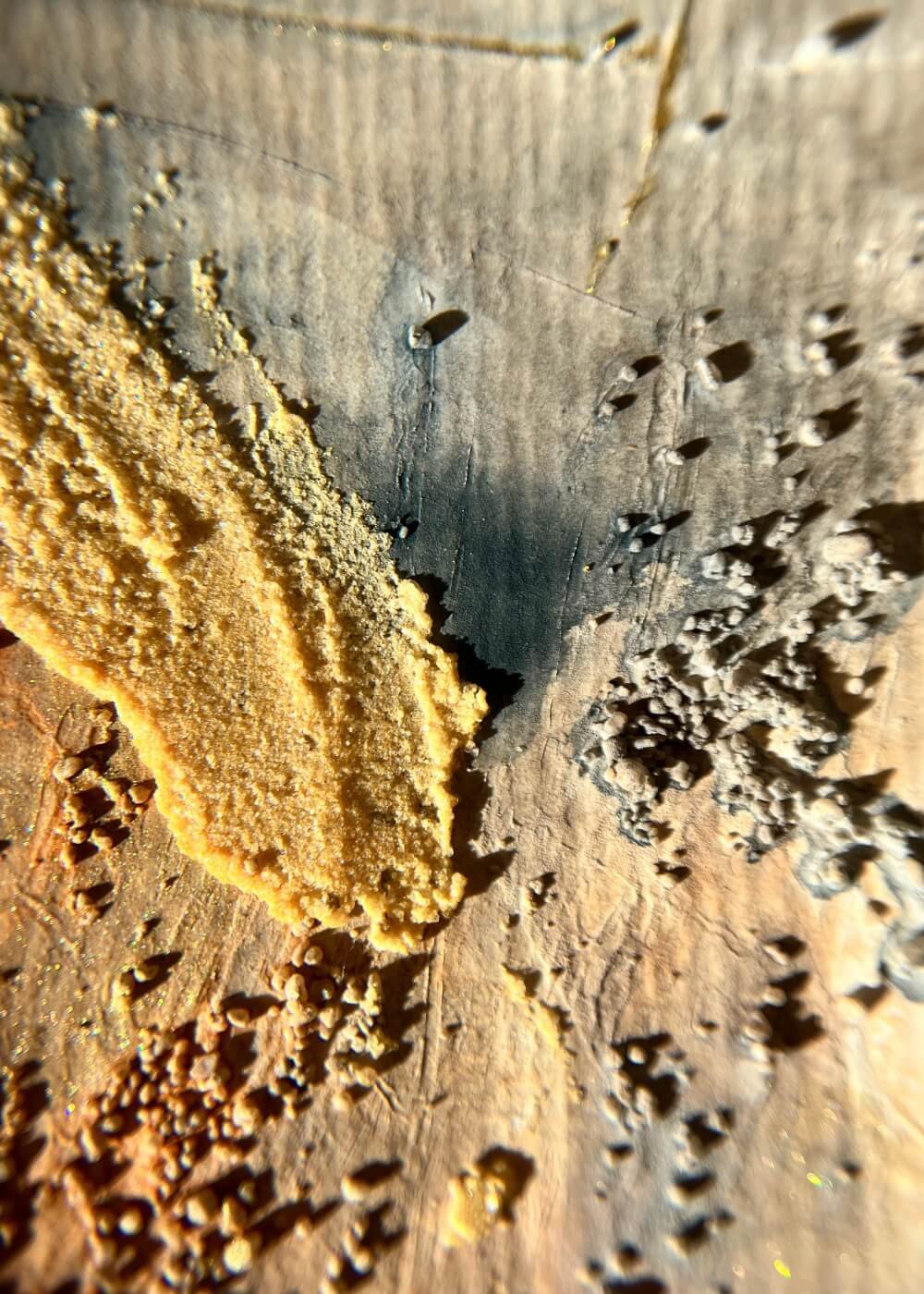 A close look reveals golden sand-like textures merging with deep grey shadows — a landscape of emotion, tender and raw.