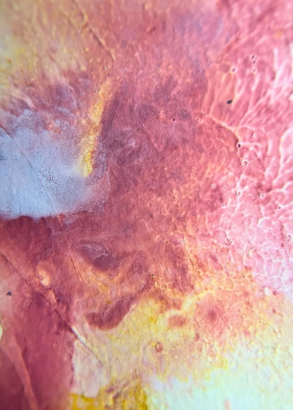 Macro view of abstract artwork "Held by Myself No. 10" showing vibrant rose and gold pigments with fine surface textures and delicate transitions.