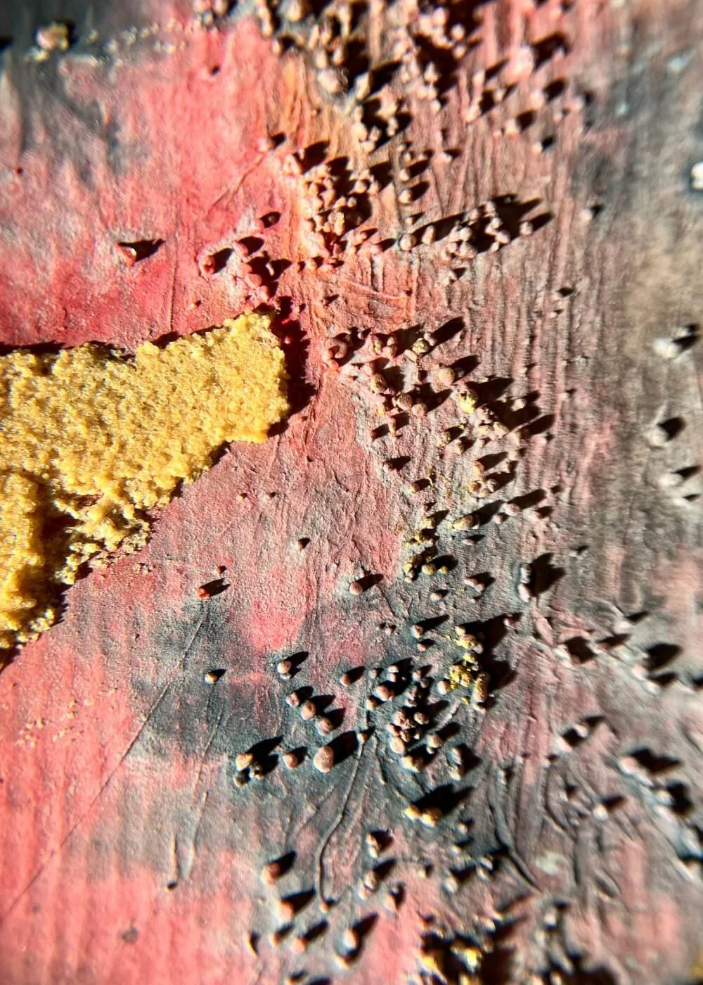 Close-up of tactile pigment grains and crimson traces, evoking the quiet persistence of glowing ash beneath calm surfaces.