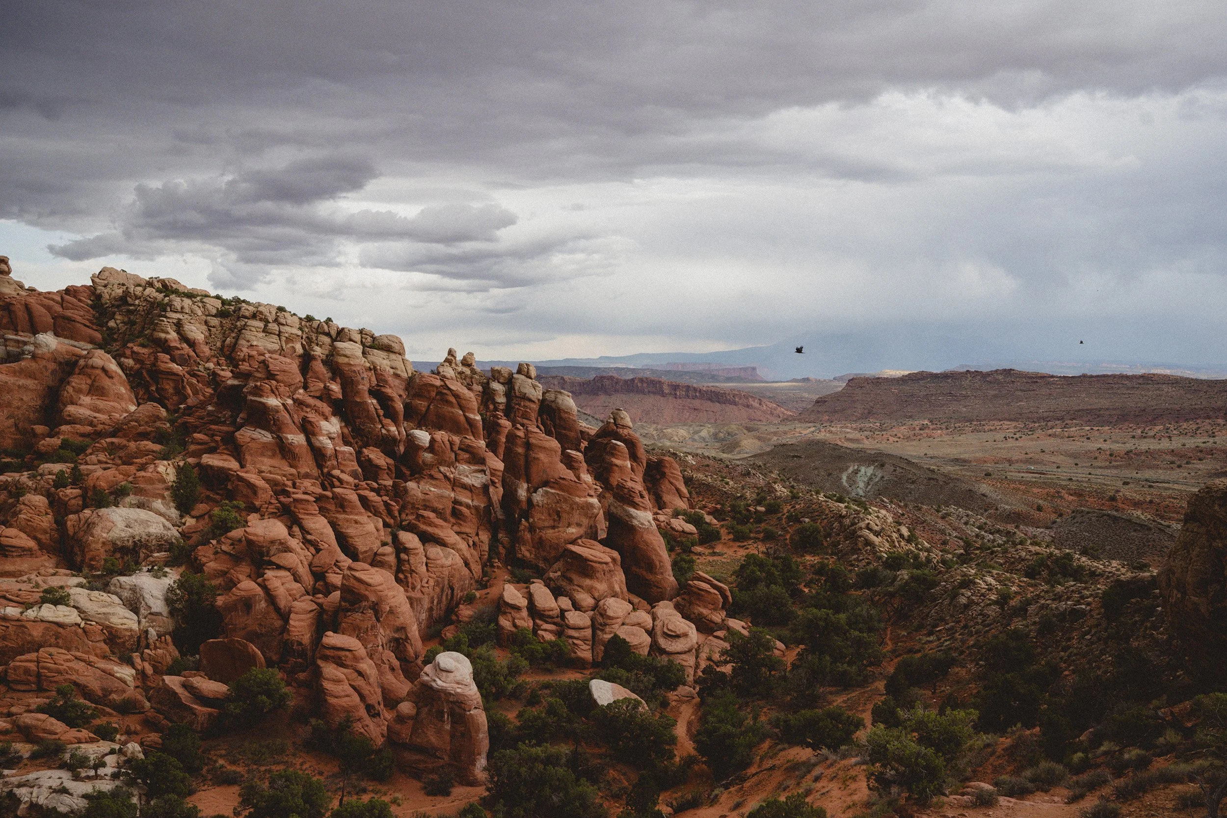 STC_Arches_2551_FPO.jpg