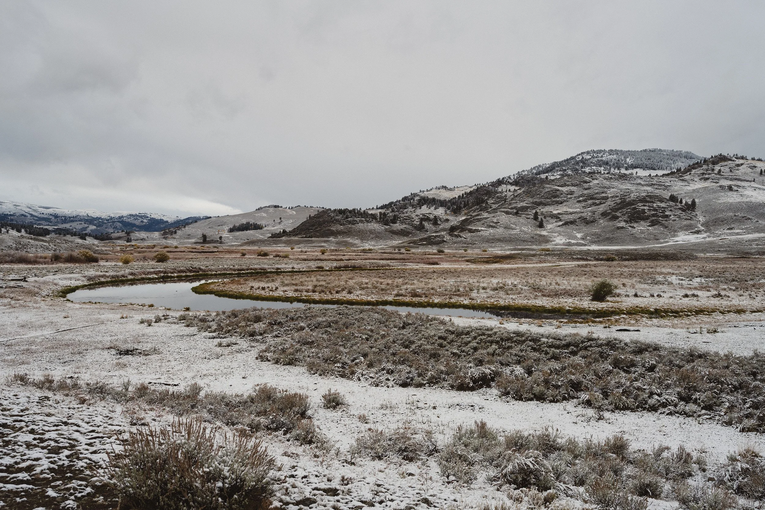 STC_Yellowstone2025_7029_FPO.jpg