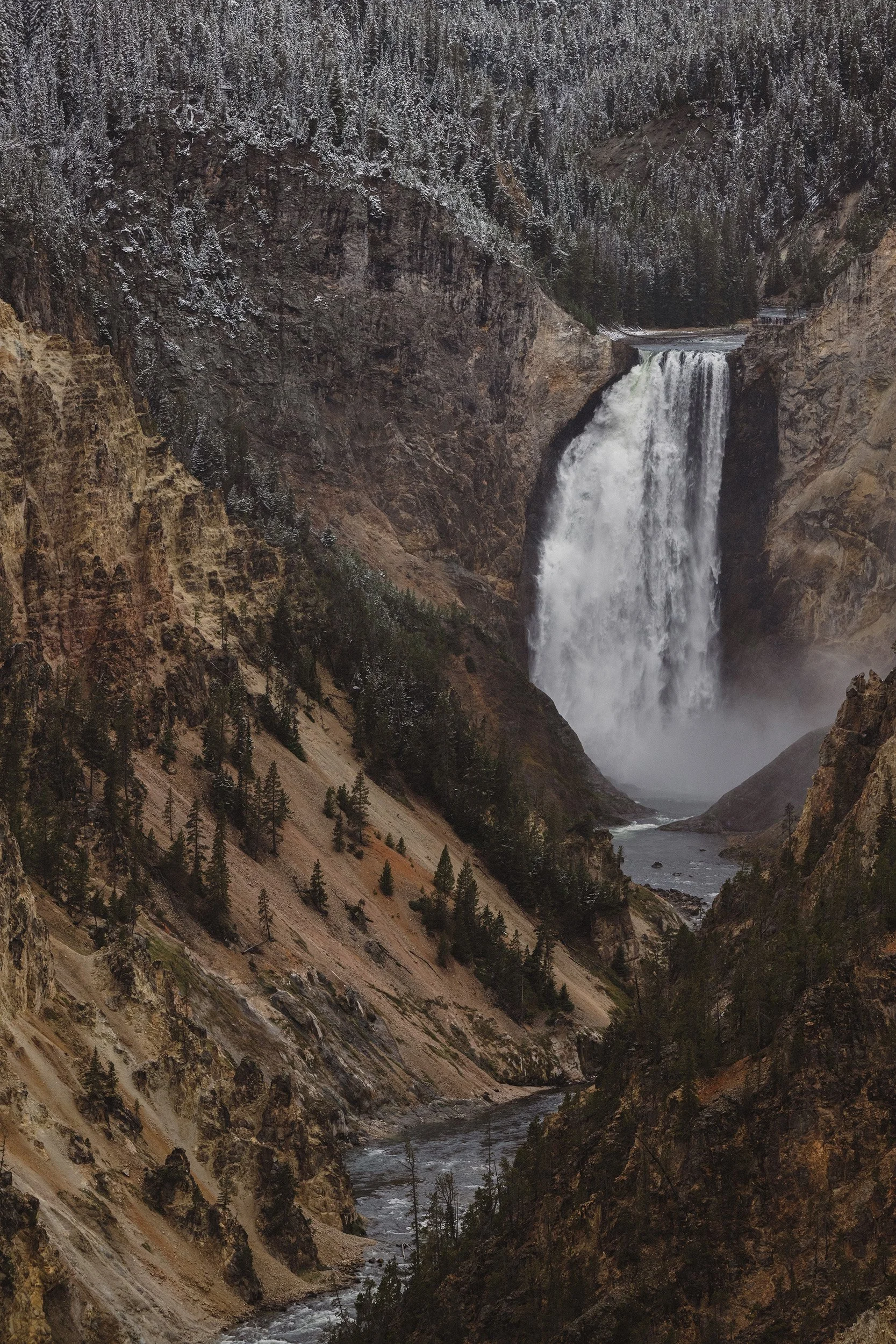 STC_Yellowstone2025_7324_FPO.jpg