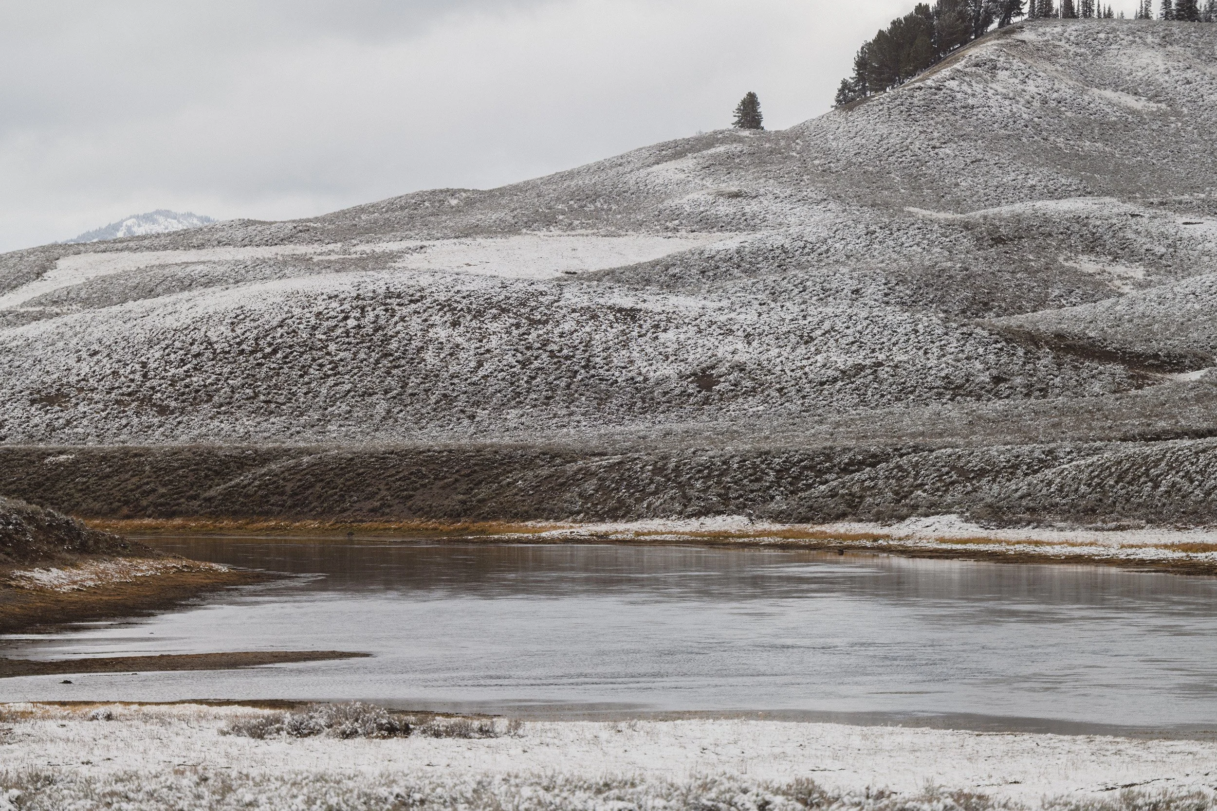STC_Yellowstone2025_7283_FPO.jpg