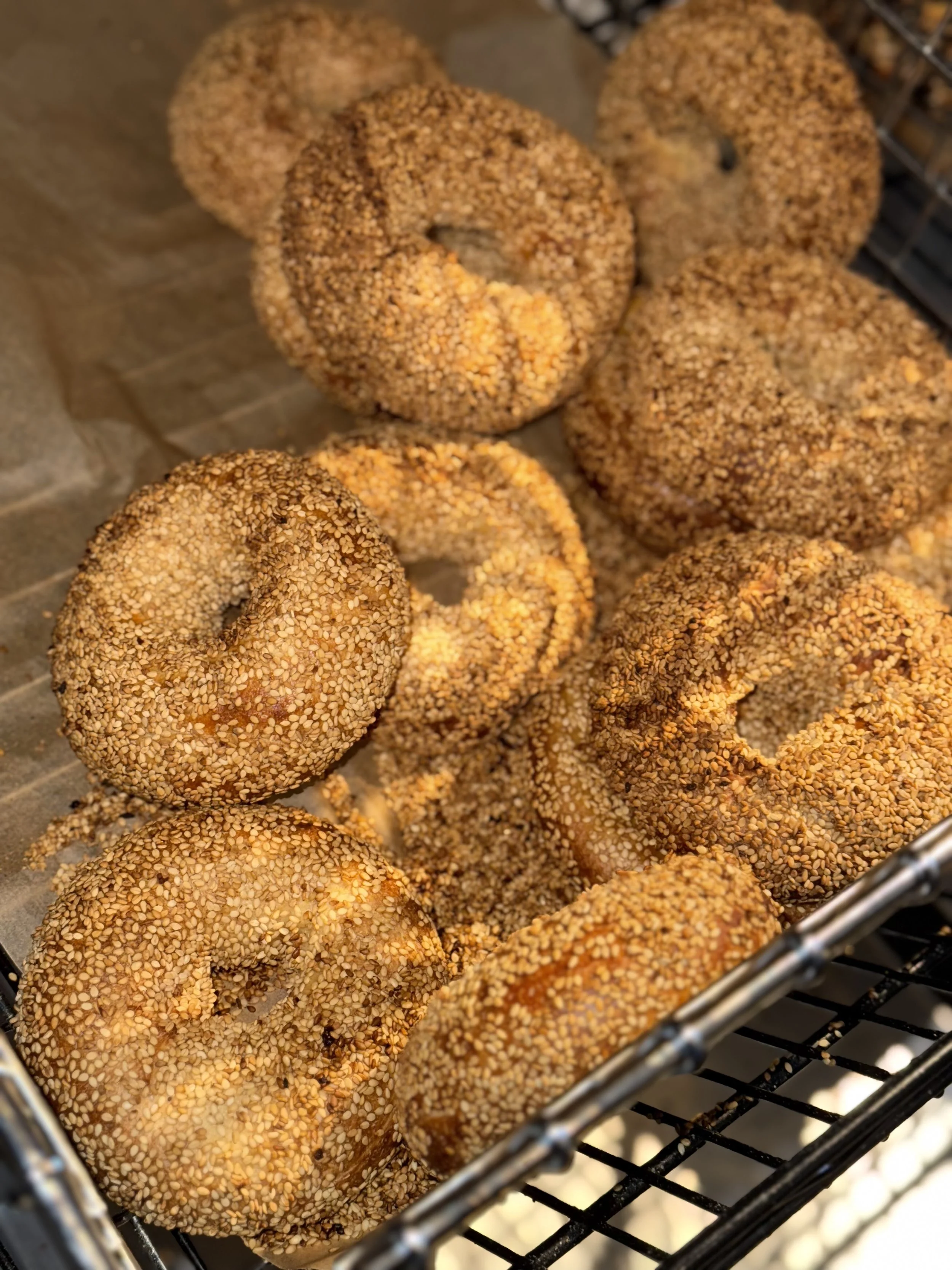 CALIC BAGEL