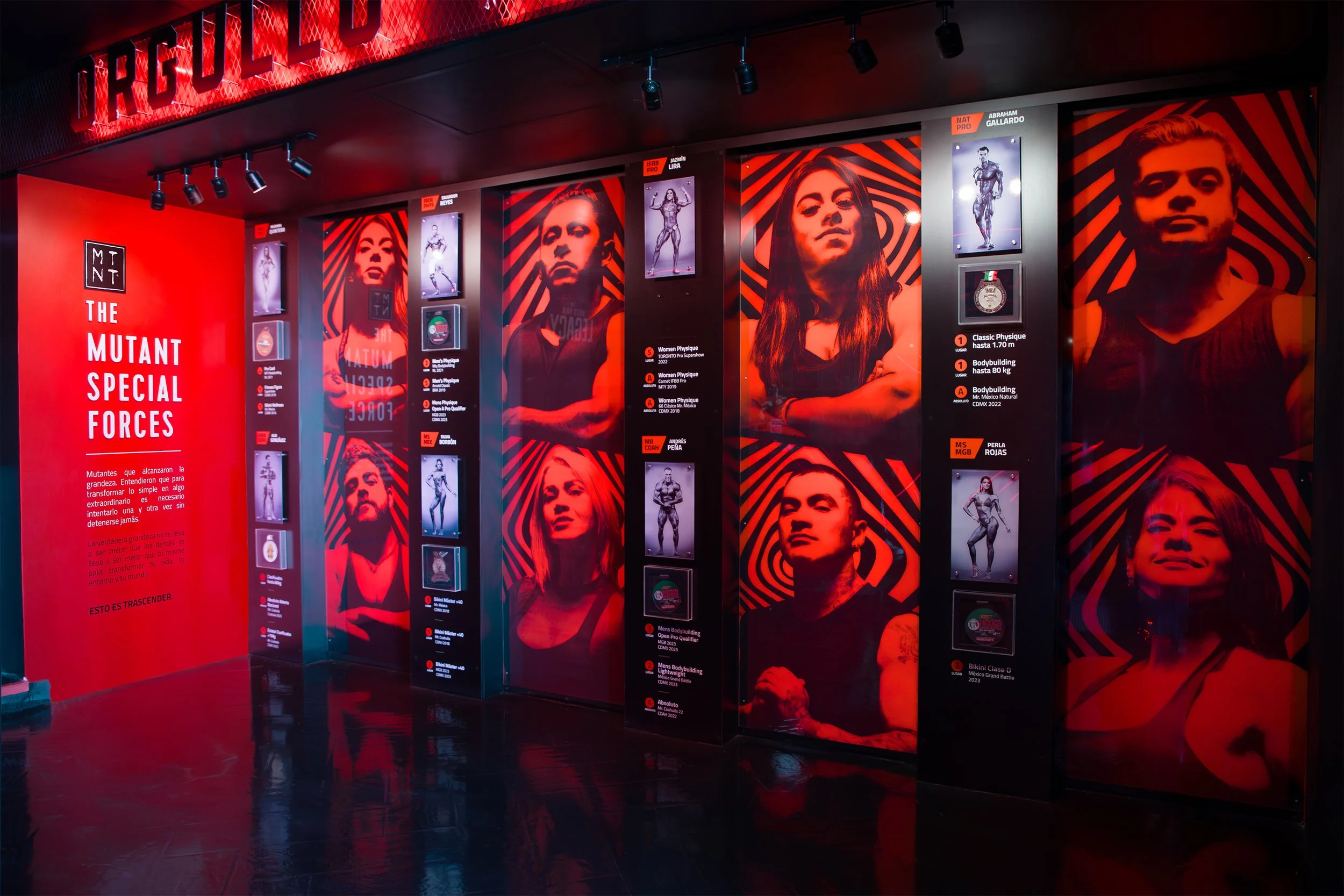 Pared de exhibición de culturismo con retratos de competidores y premios, decorada en rojo y negro, con una señal que dice 'The Mutant Special Forces' y una descripción en español sobre la grandeza y transformación personal.