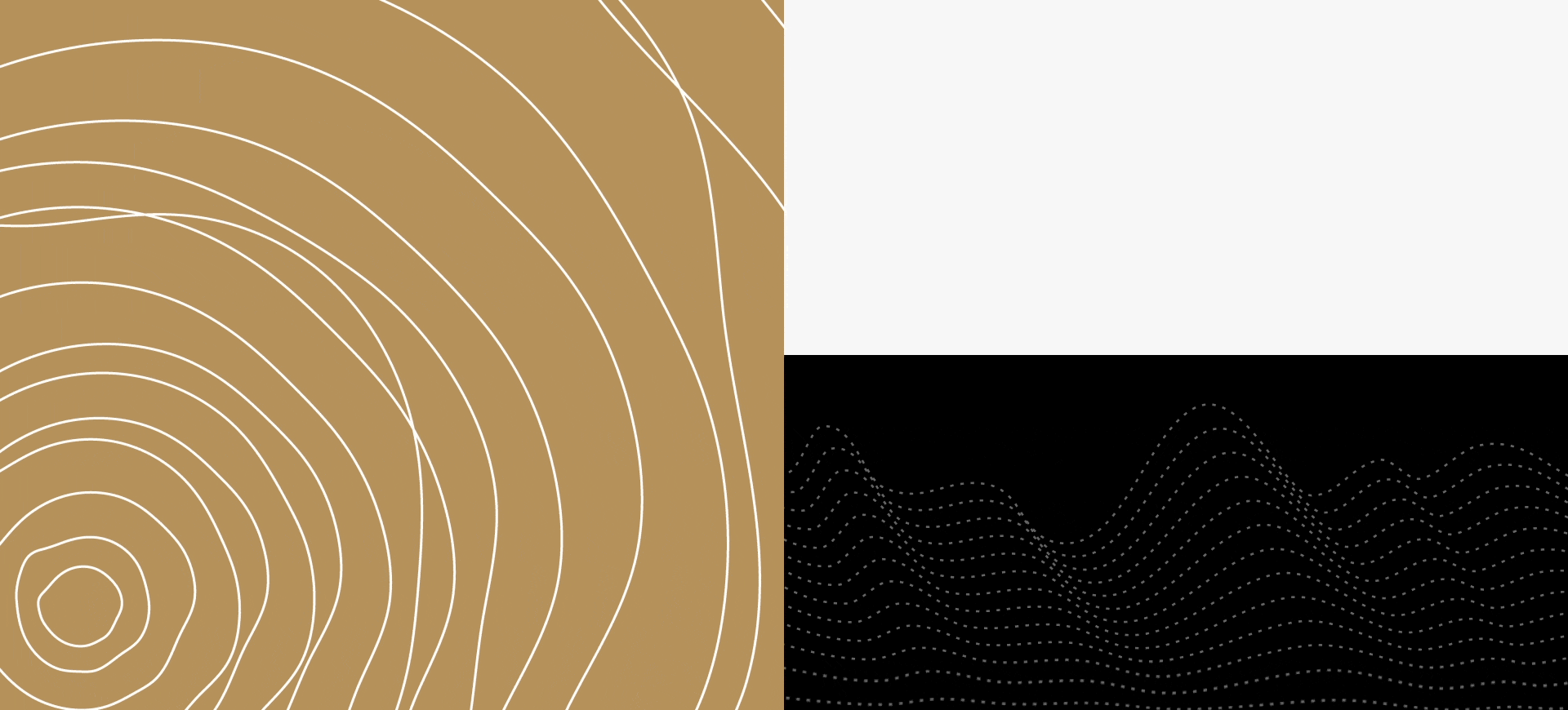 Imagen abstracta con cuatro secciones: una con líneas curvas blancas sobre fondo marrón, otra blanca lisa, una con ondas de puntos gris sobre fondo negro y una con líneas onduladas blancas y puntos blancos sobre fondo negro.