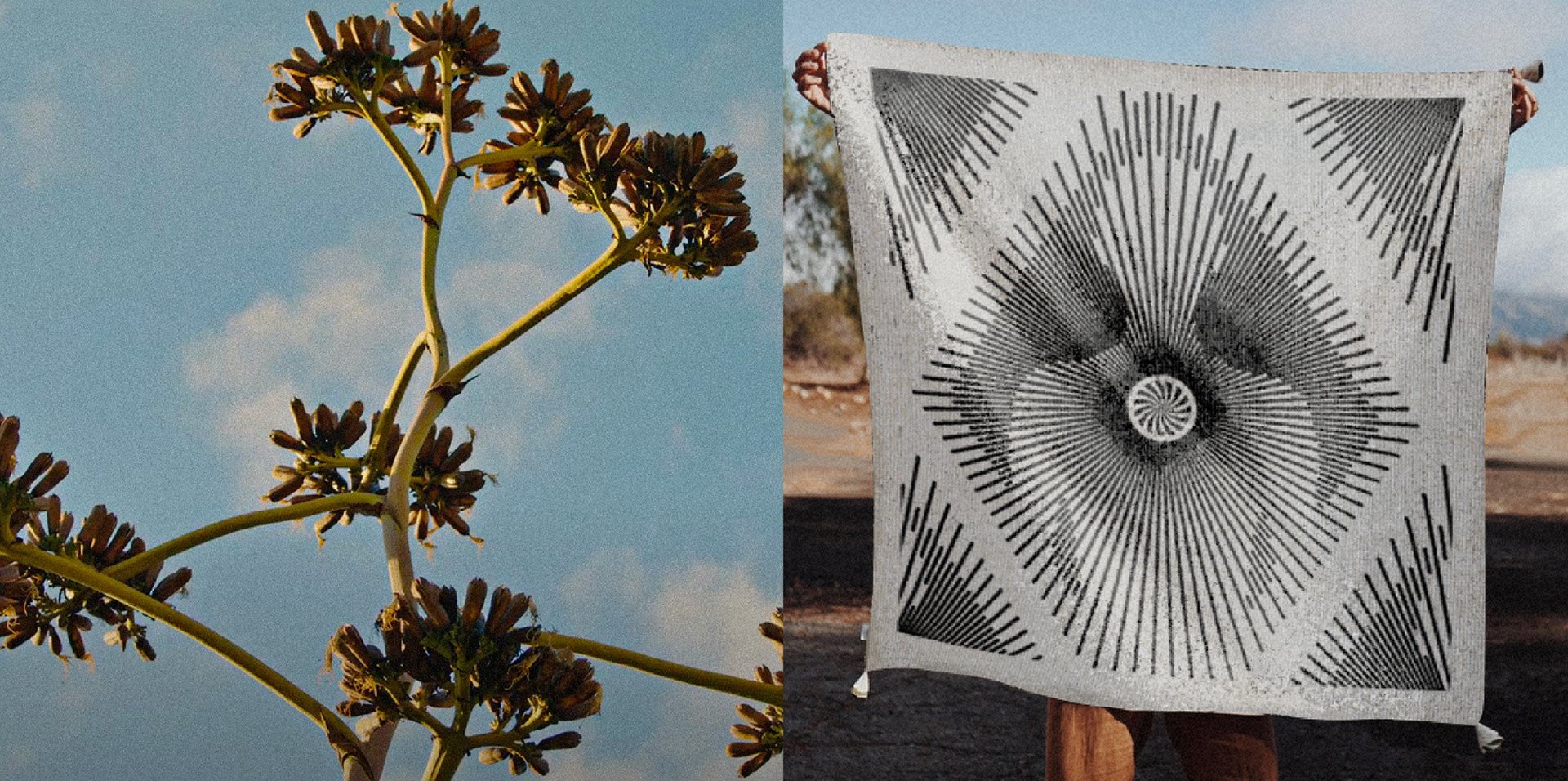 Planta con ramas con flores oscuras a la izquierda y una banderola decorativa con diseño en blanco y negro en forma de espiral y líneas que crean formas geométricas en el centro y la esquina superior derecha.