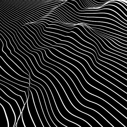 Líneas blancas onduladas en un fondo negro que representan una topografía o un mapa de elevaciones en relieve.