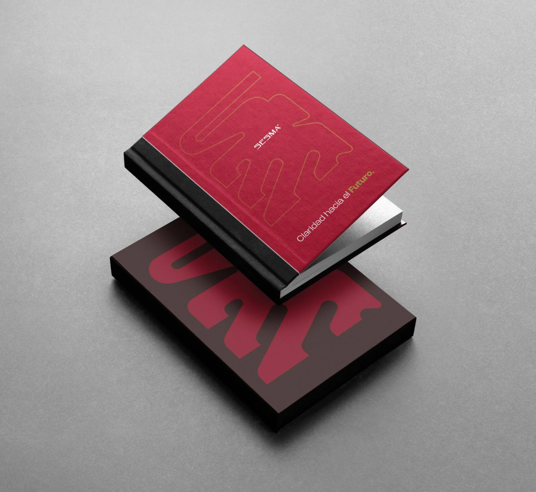 Dos libros apilados, uno rojo con el texto "SESMA" y otro negro, sobre una superficie gris.