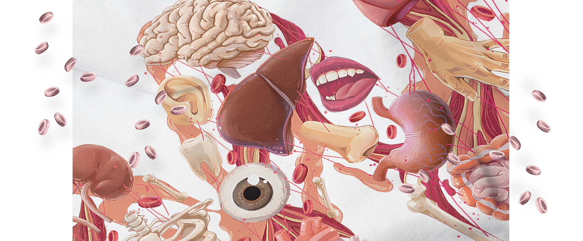 Ilustración anatómica que muestra órganos internos humanos, incluyendo cerebro, hígado, estómago, riñones, corazón, pulmones, ojos y huesos, con vasos sanguíneos y flechas indicativas.
