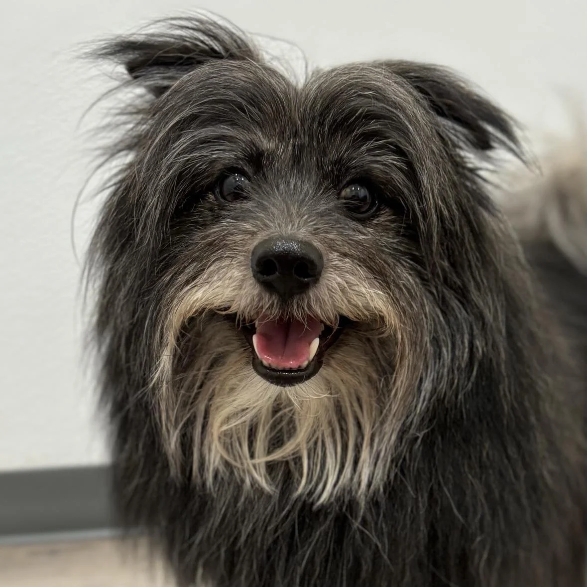 Oscar headshot.jpg