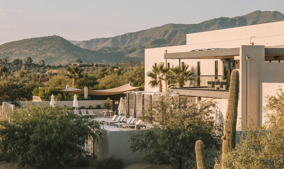 Dispatches from the Future of Wellness: Part II