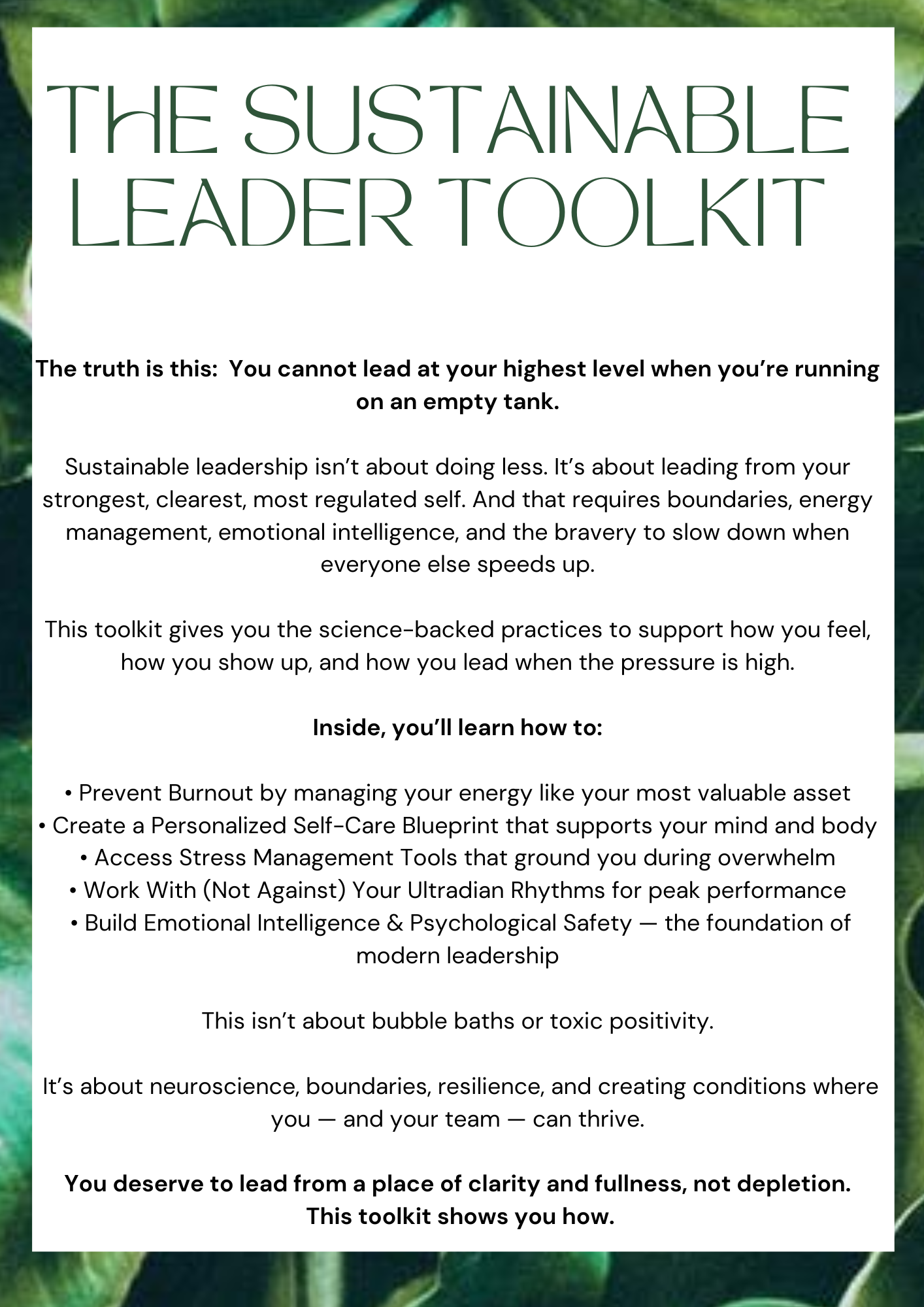 Sustainable Leader Toolkit- Betz.png