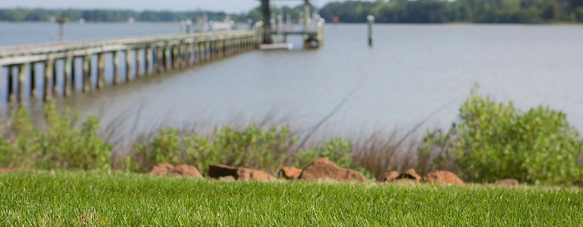 hero-grass-dock.jpg