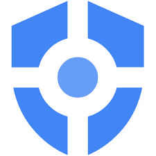 Google Security shield icon in blue and white