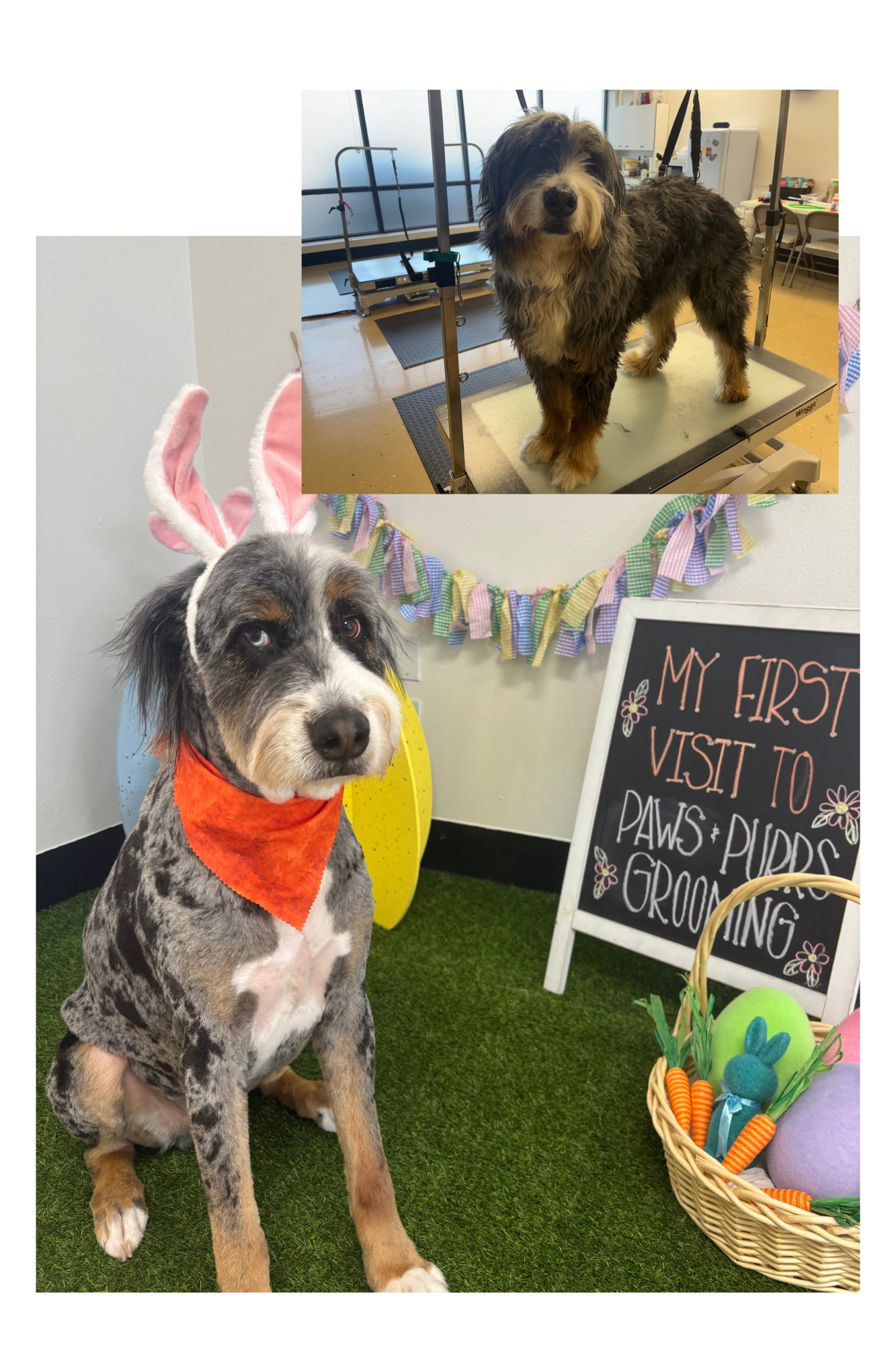 Remington (BEFORE & AFTER)