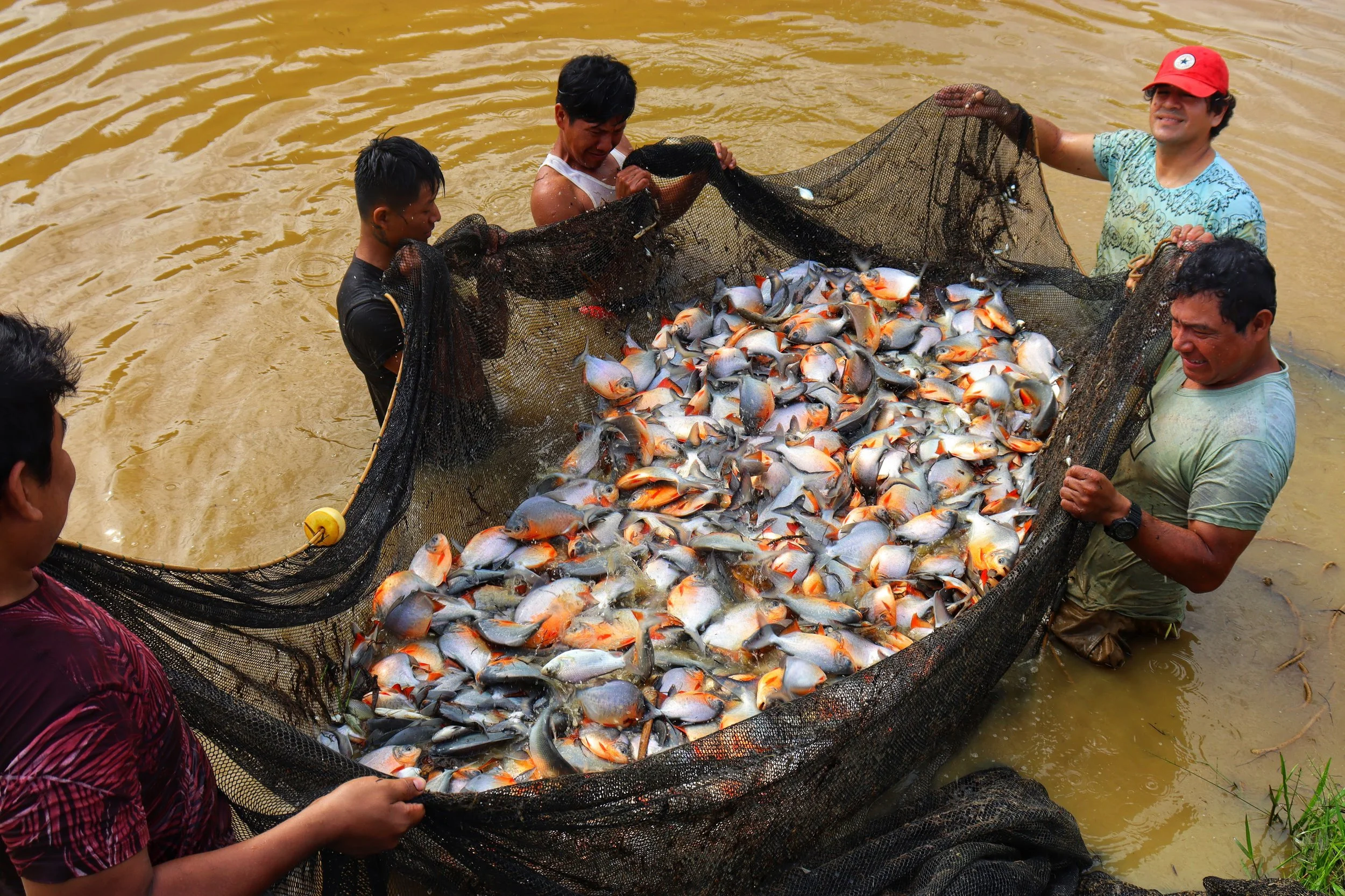 ¿Cuál es el problema?