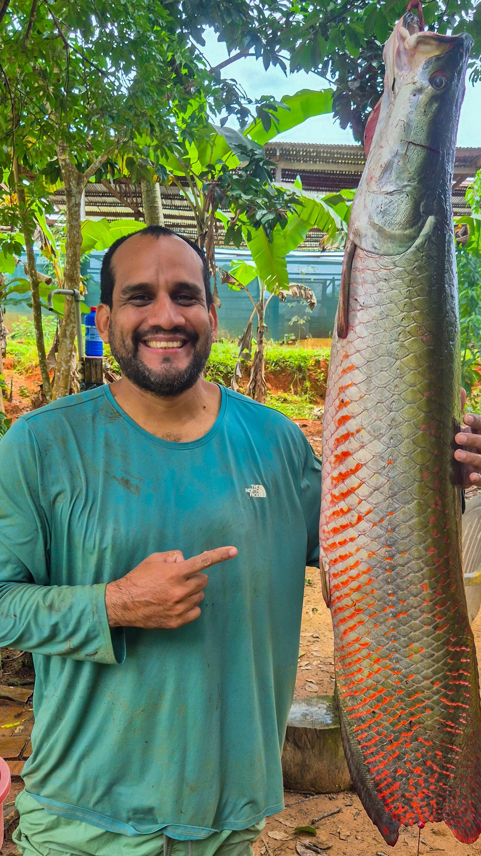 REPRODUCTOR DE PAICHE