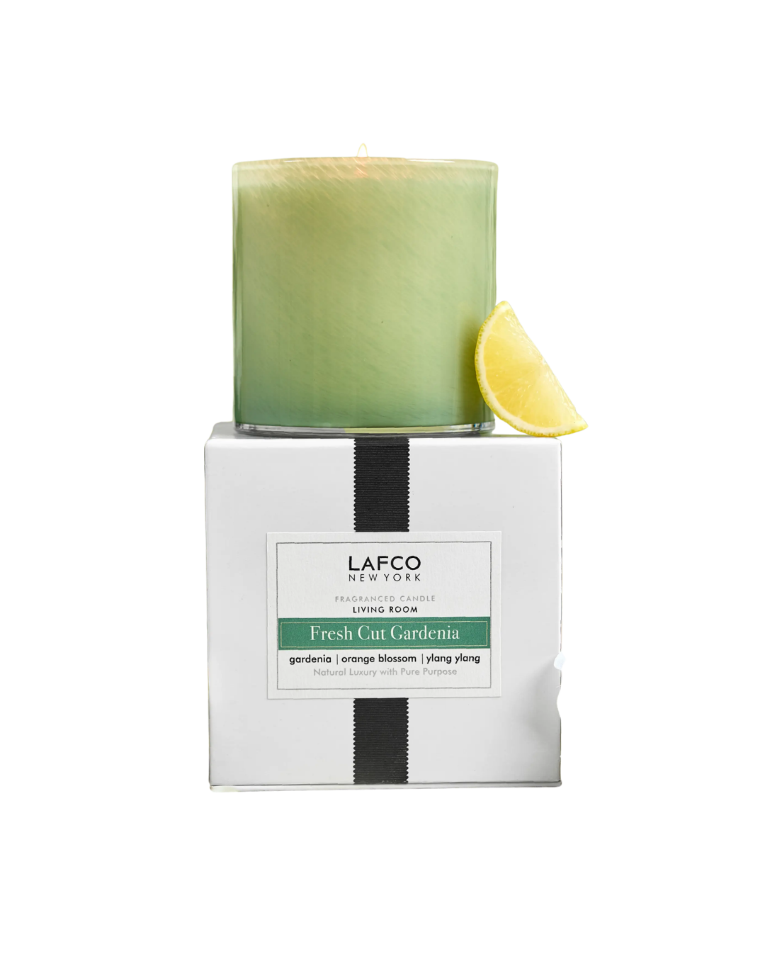 Untitled design (31).png