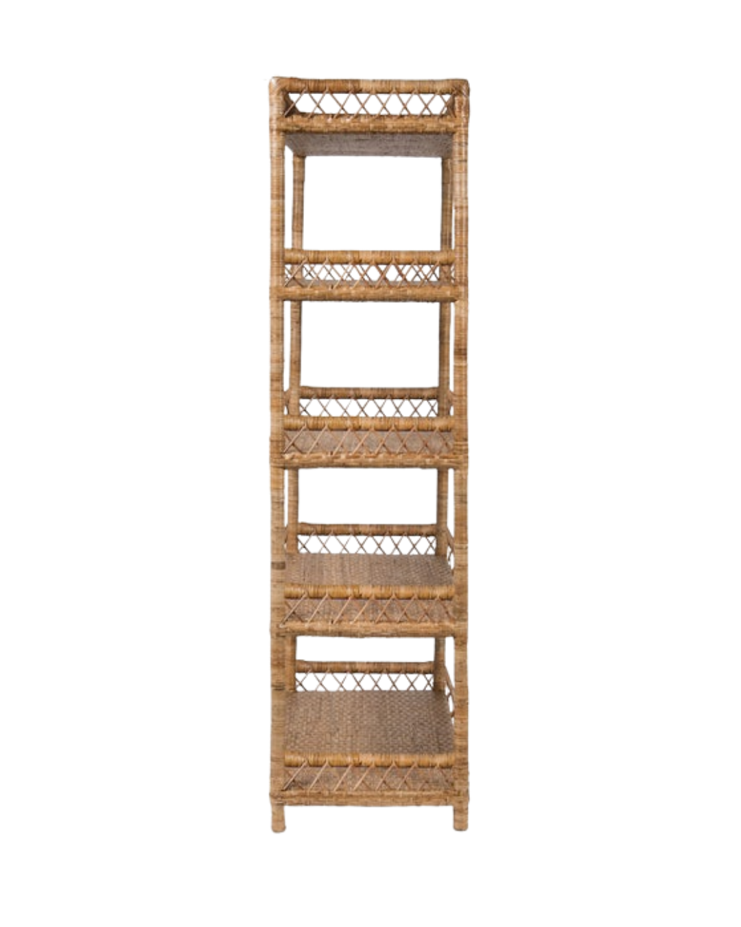 Untitled design (24).png