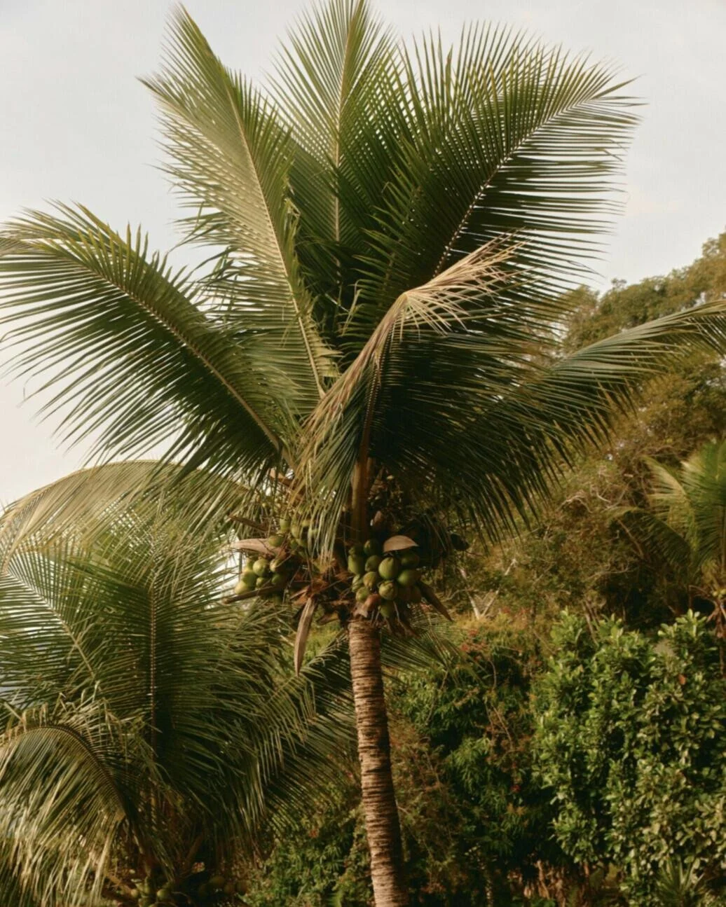 Rainy season might be when Nosara slows down, but you don&rsquo;t have to.
This is the time to lock in, build consistency, and show up for yourself.