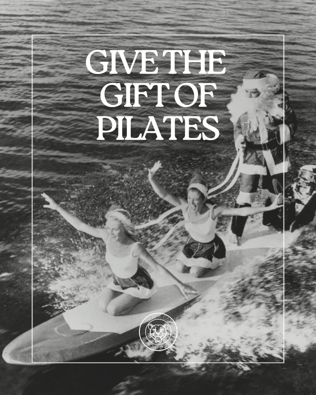 Give the gift of Pilates. Something useful, thoughtful, and guaranteed to make them feel good.

Gift cards are now available in:
$50 &mdash; One drop-in class
$200 &mdash; PURR 8-Class Pack (best for 2x/week)
$250 &mdash; MEOW 12-Class Pack (best for