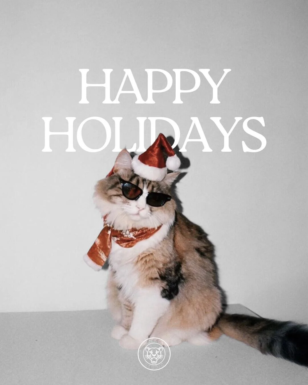 It&rsquo;s the most wonderful time of the year 🎶
And somehow, another year is already coming to an end.
Looking back, we&rsquo;re feeling really grateful for the little community we&rsquo;ve built here, for all of the people who show up day after da