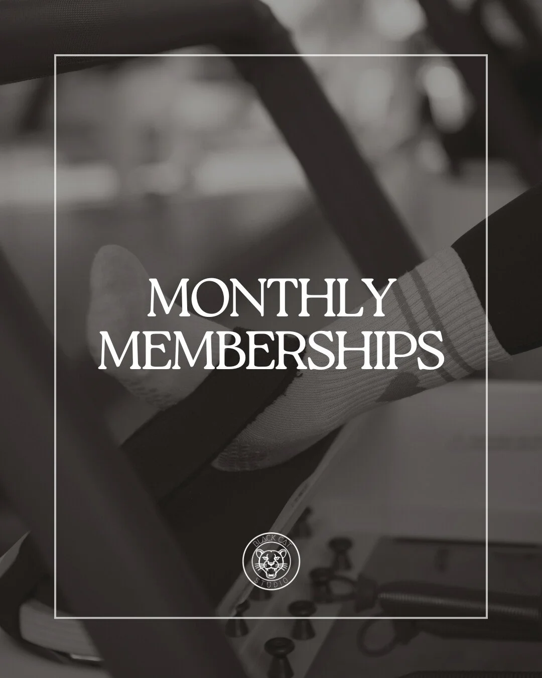 You asked&hellip; so we did it.
Monthly memberships are officially here 🐈&zwj;⬛
For our regulars, our routine-builders, our &ldquo;see you tomorrow&rdquo; people, this one&rsquo;s for you.

If you&rsquo;ve been wanting more consistency, more account