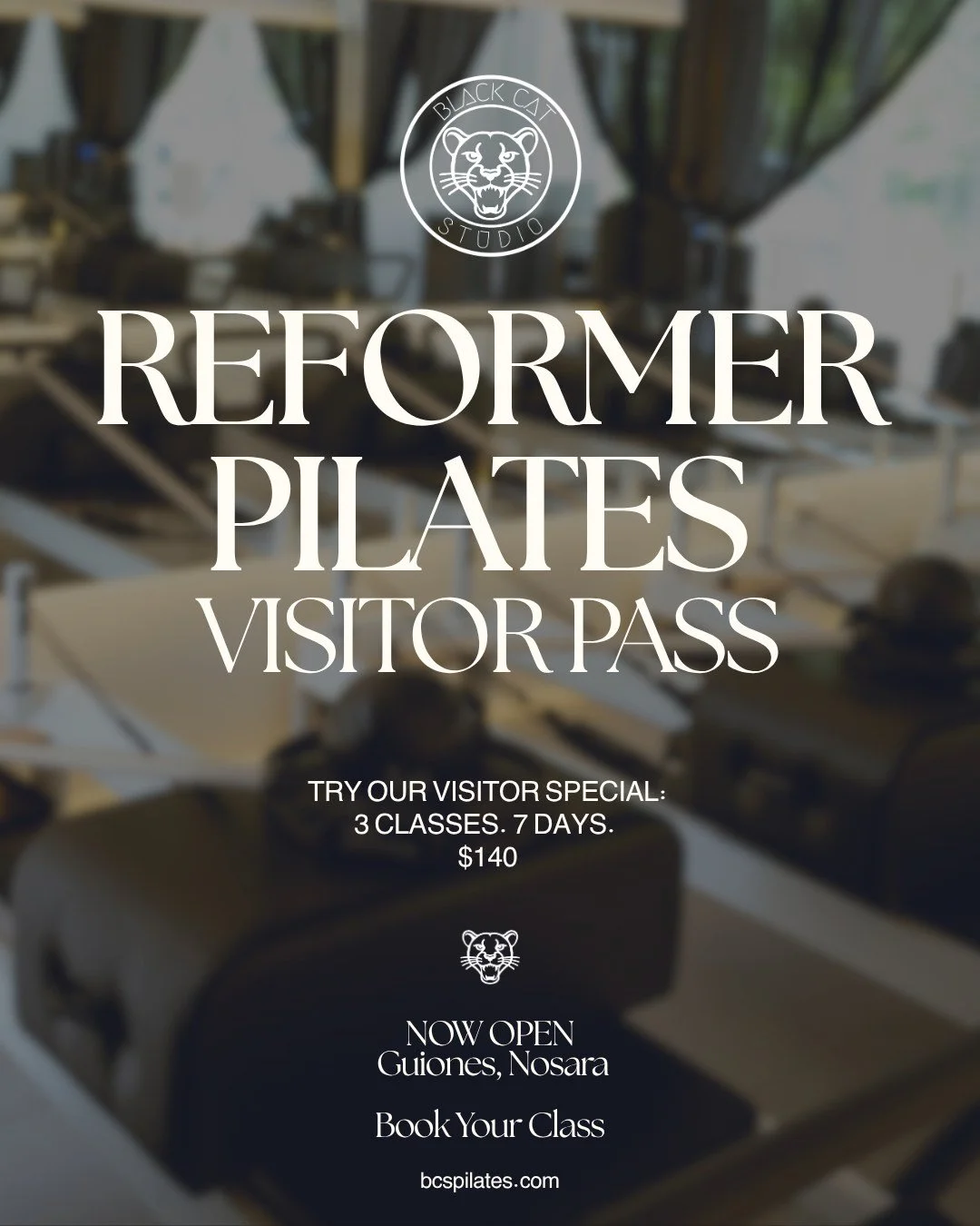 In Nosara for the week? You can still make it to the Reformer.
Our Guiones Visitor Pass gives you 3 classes to use within 7 days, so you can fit Pilates somewhere between the surf, beach and everything else you came here for.

3 Reformer classes &mid