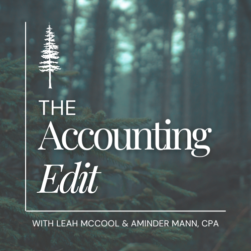 Episode 1: Meet the Hosts – Leah McCool & Aminder Mann, CPA