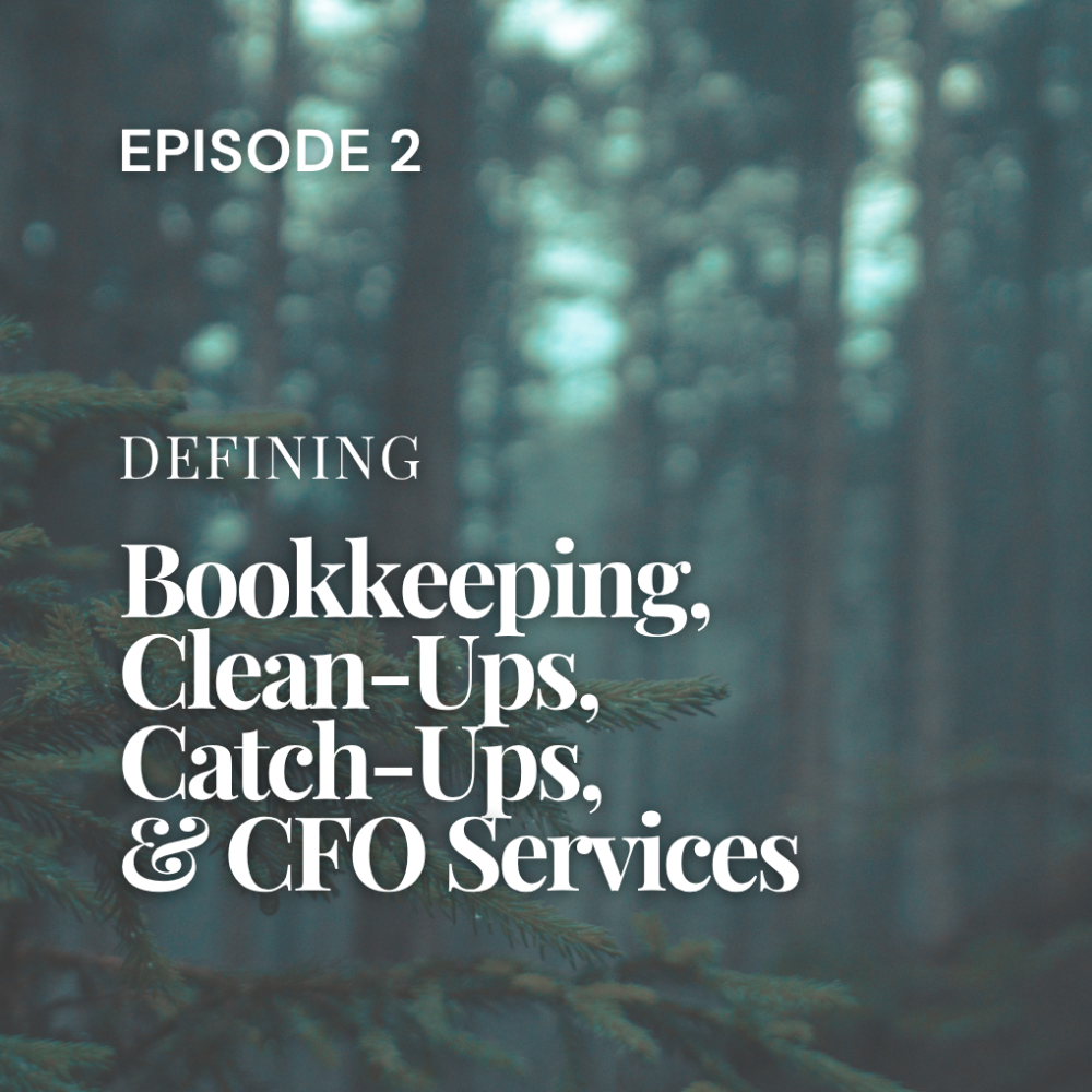 Episode 2: Defining Bookkeeping, Clean-Ups, Catch-Ups, & CFO Services